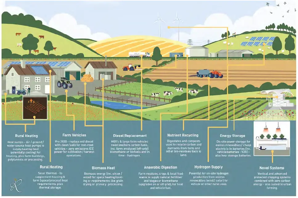 Graphic of low carbon on farm illustration
