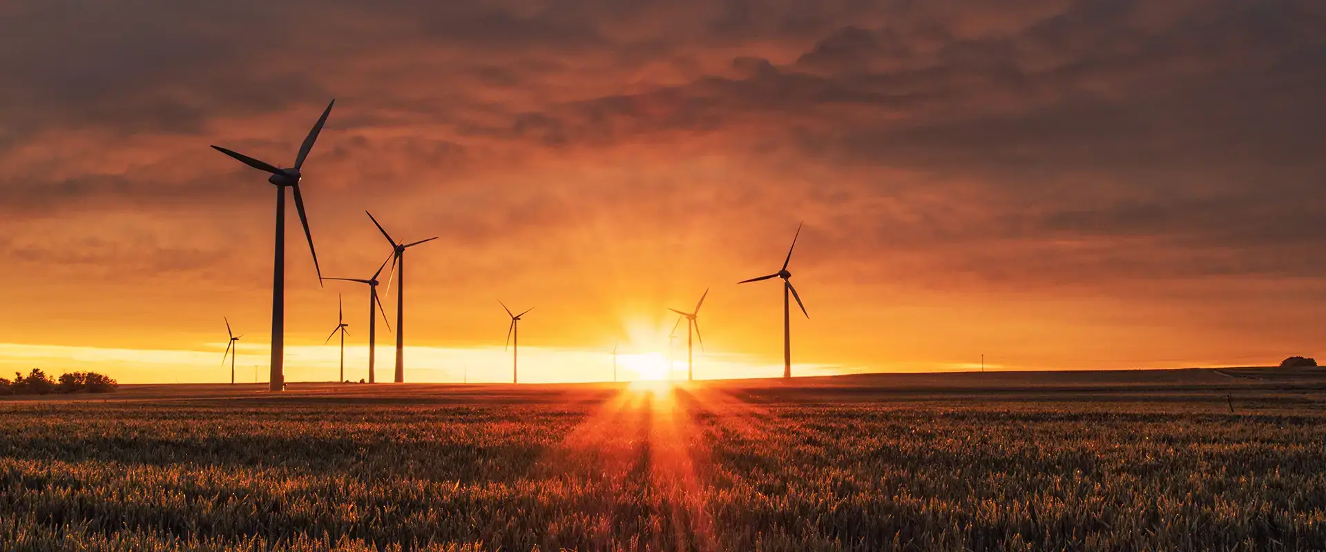 Windfarm-1 - Farm of the Future Windfarm