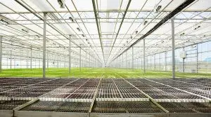 farm greenhouse - Farm of the Future Image of an industrial farm greenhouse