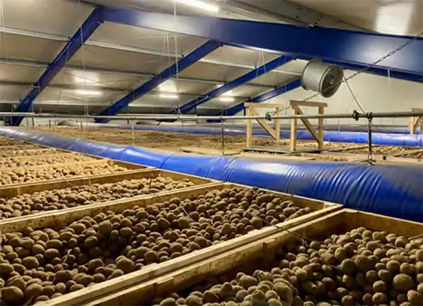 Image of climate controlled potato storage