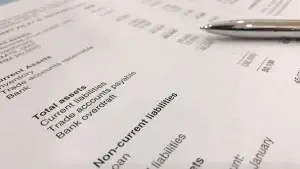 balance-sheet - Farm of the Future Image of a typical balance sheet to illustrate a finance feature in decarbonisation.