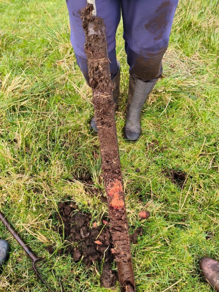 A sample of peat soil in grass field